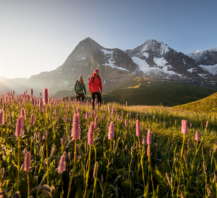 Unterwegs Mit Dem Berner Oberland Pass - «Das Beste Der Region»